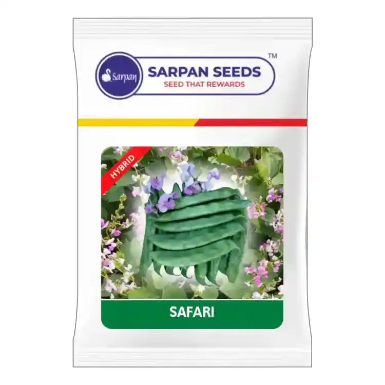 Sarpan Safari Dolichos Seeds