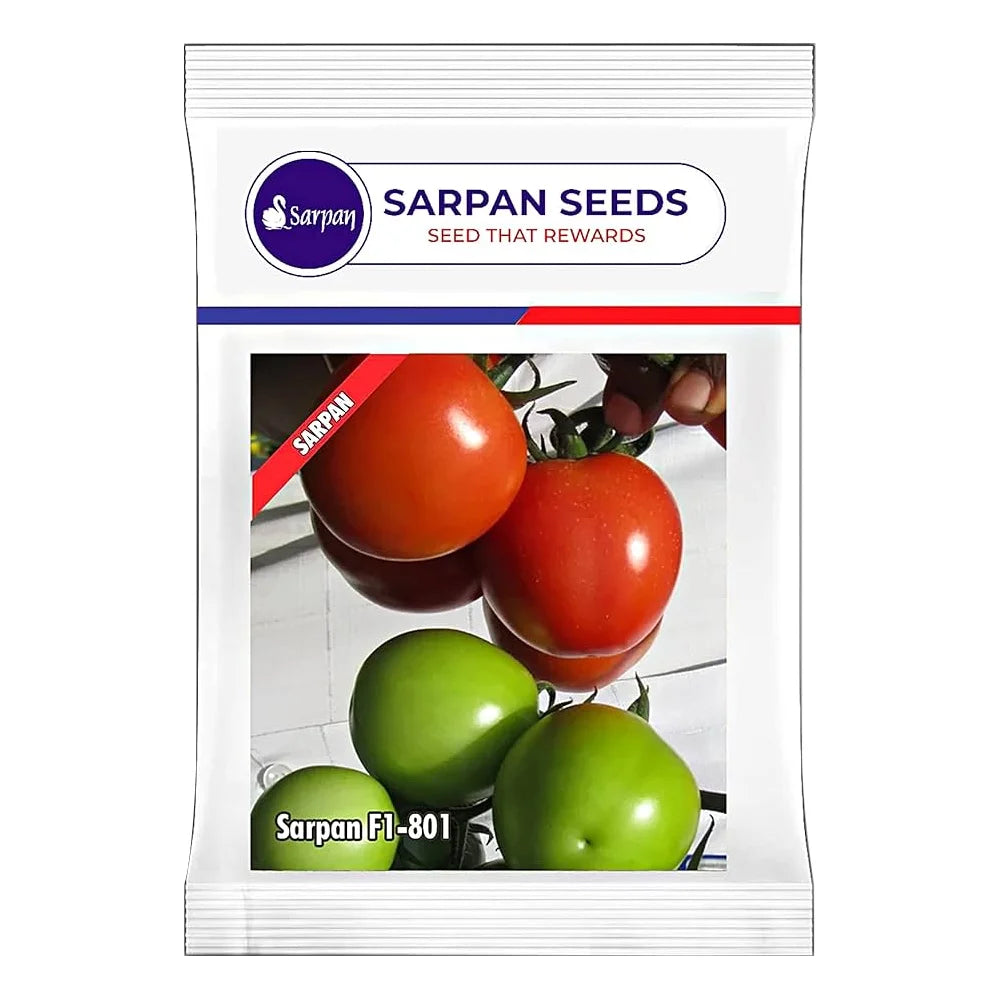 Sarpan F1-801 Hybrid Tomato Seeds