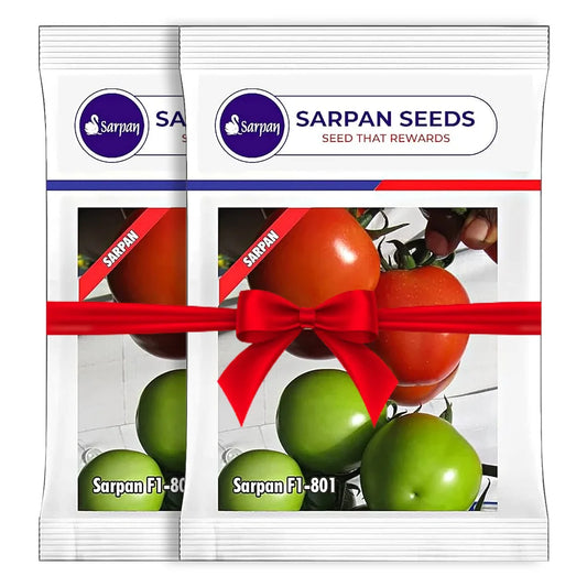 Sarpan F1-801 Hybrid Tomato Seeds (1+1 Free)