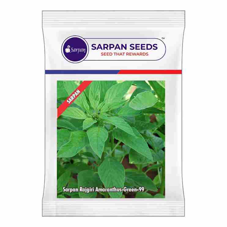 Sarpan Green-99 Amaranthus Seeds