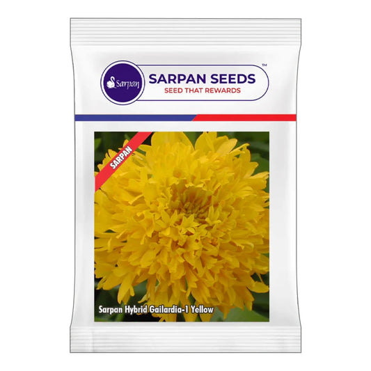 सर्पन हाइब्रिड गेलार्डिया-1-येलो |  Sarpan Hybrid Gailardia-1-Yellow