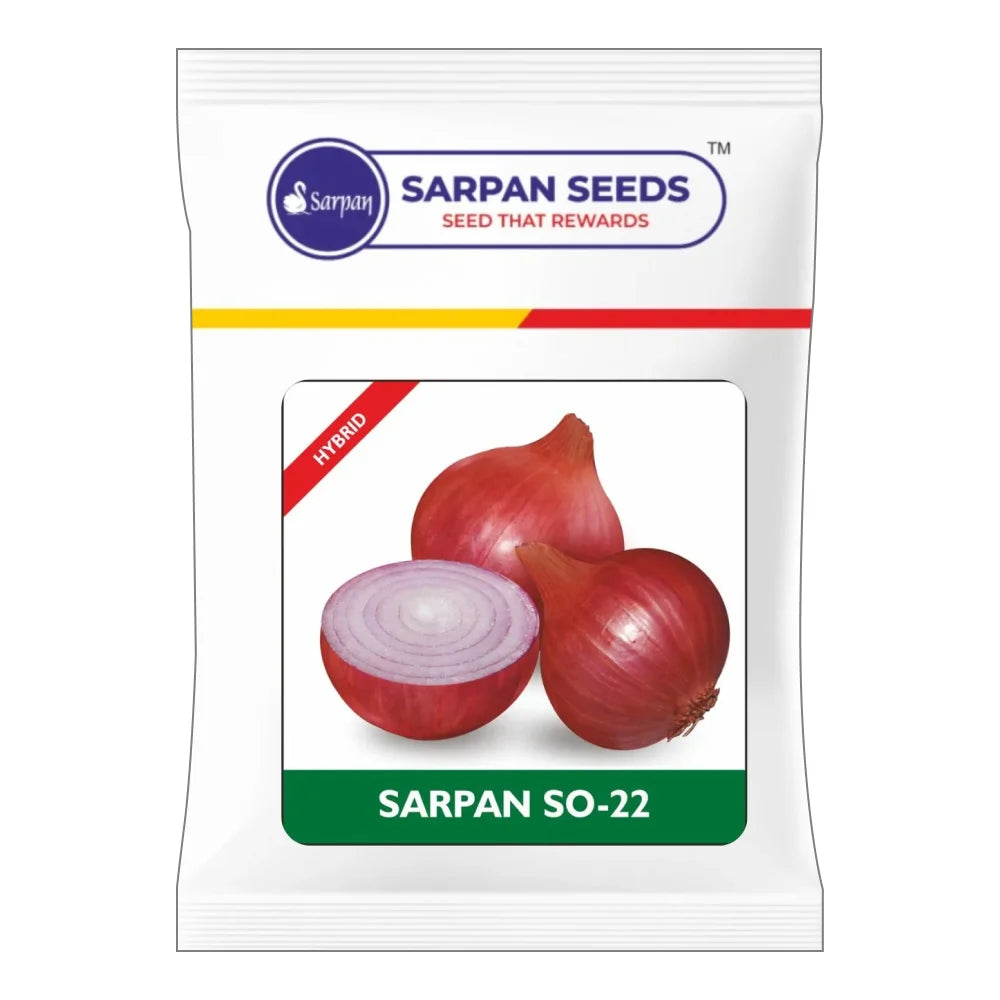 Sarpan SO-22 Onion Seeds