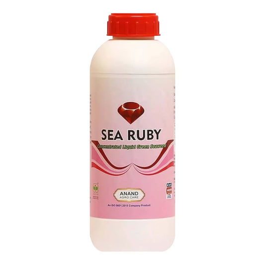 सी रूबी (तरल) हरा समुद्री शैवाल अर्क | Sea Ruby (Liquid) Green Seaweed Extract