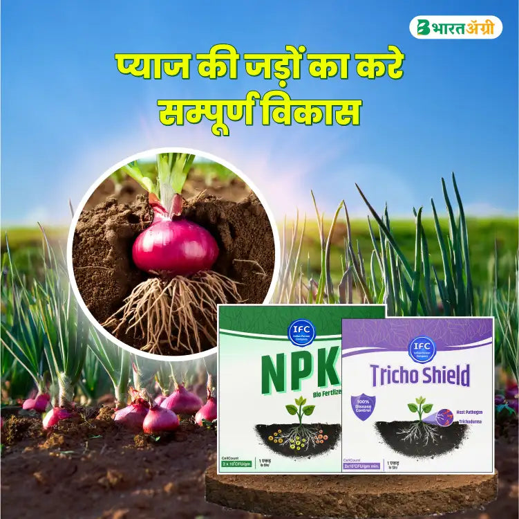 Onion Seed/Seedling Treatment Kit