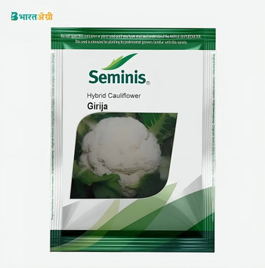 सेमिनिस गिरिजा F1 हाइब्रिड फूलगोभी के बीज | Seminis Girija F1 Hybrid Cauliflower Seeds