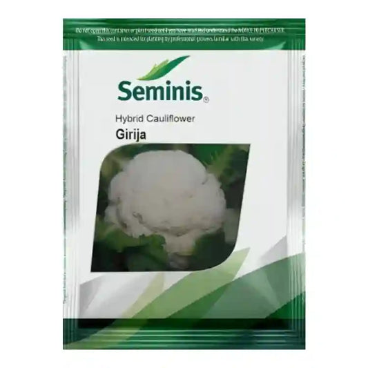 Seminis Girija F1 Hybrid Cauliflower Seeds