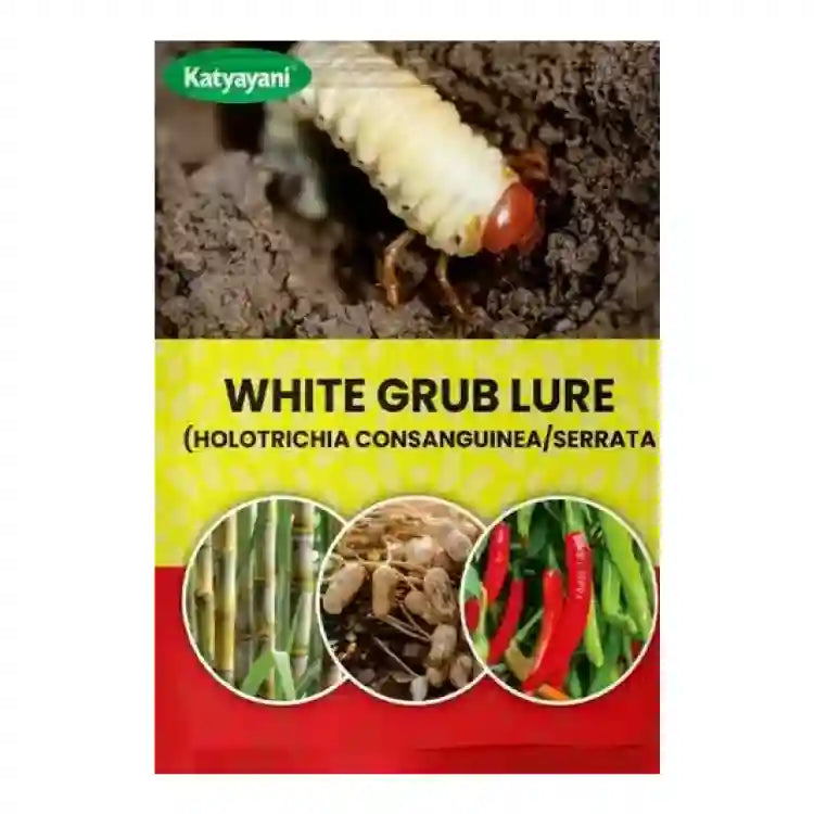 Katyayani White Grub Lure (Holotrichia Consanguinea/Serrata)