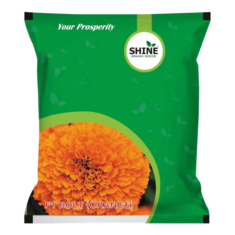 Shine Bolt Orange F1 Hybrid Marigold Seeds