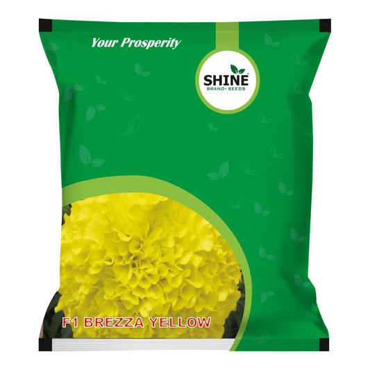 Shine F1 Brezza Yellow Marigold Seeds