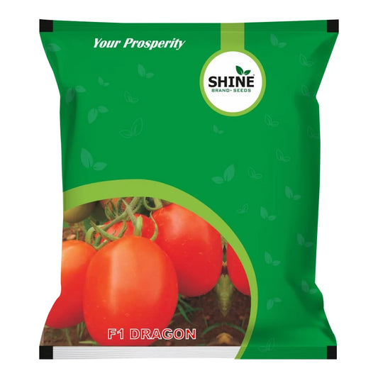Tomato Dragon F1 Hybrid - Shine Brand Seeds