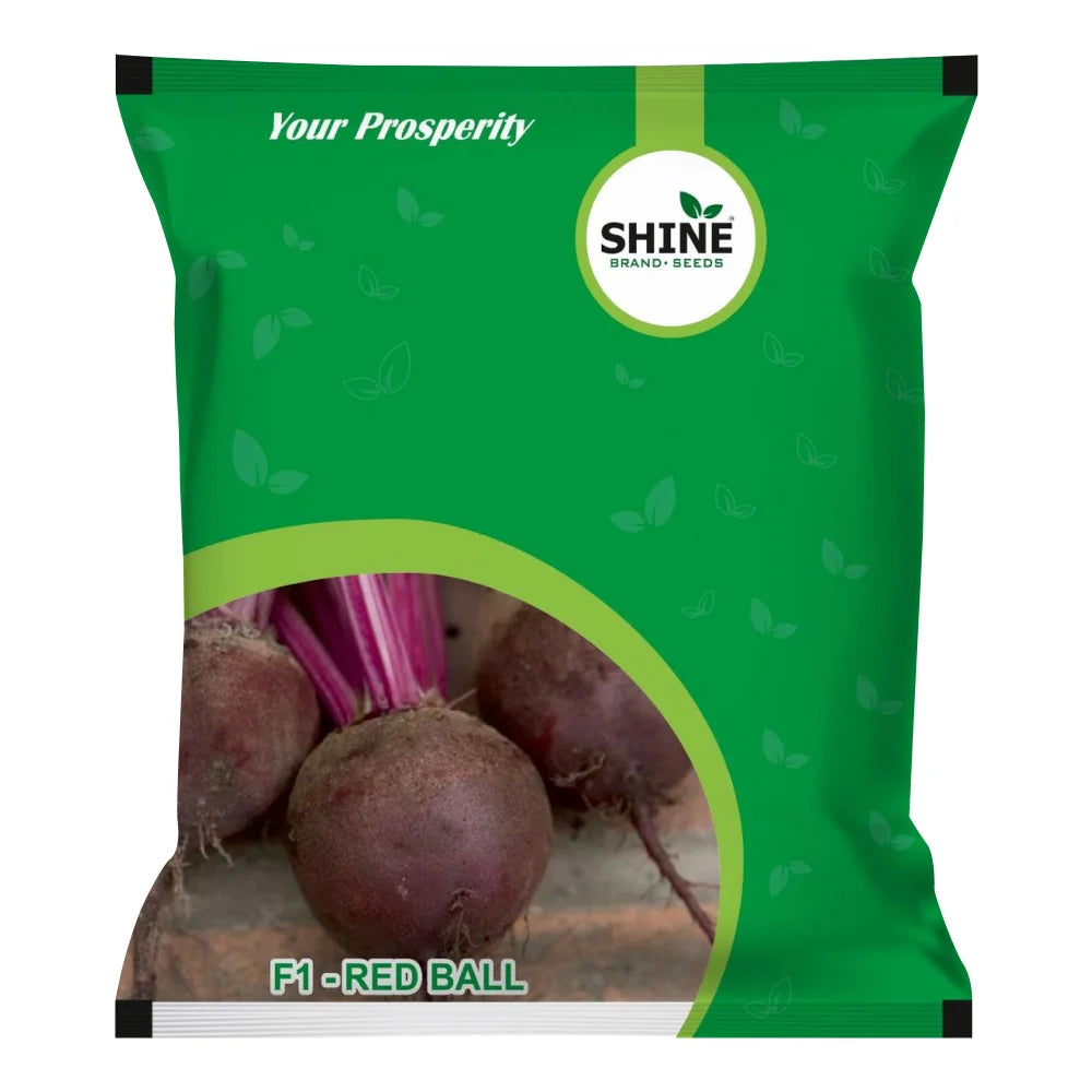 Beet Root Red Ball F1 - Shine Brand Seeds