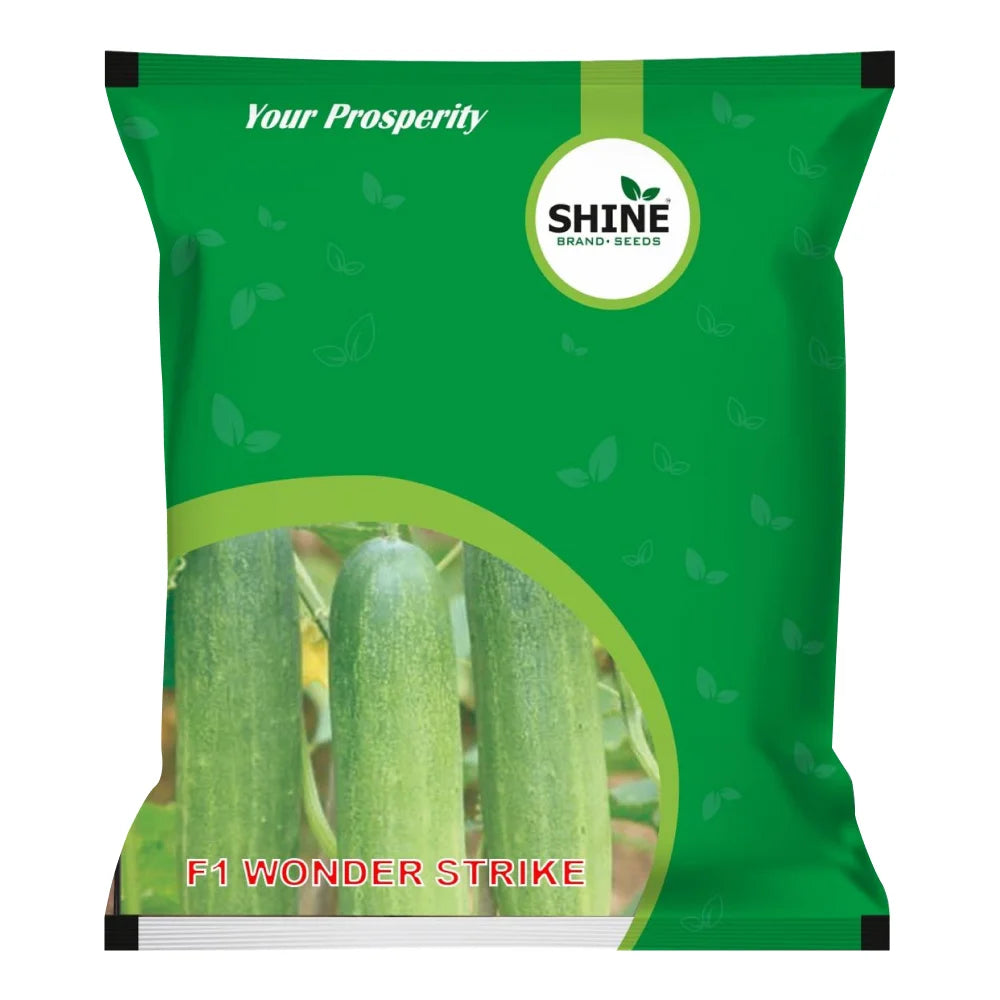 Cucumber Wonder Strike F1 Shine Brand Seeds (1+1 Combo)