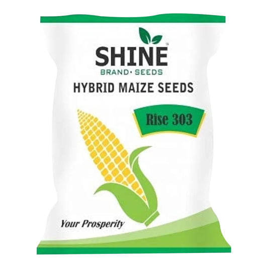 Maize Rise 303 Hybrid - Shine Brand Seeds