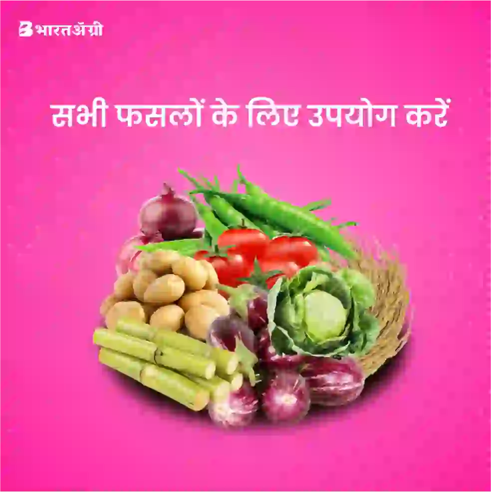 Buy Shriram Sathi NPK 0:52:34 @Best Price| Free Delivery – BharatAgri ...