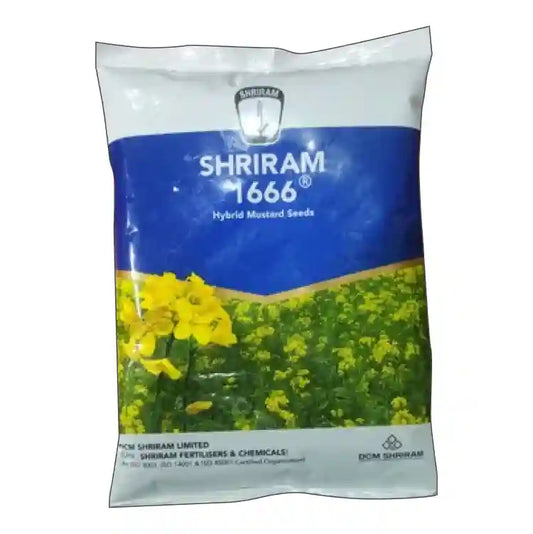 Shriram 1666 Mustard Seed