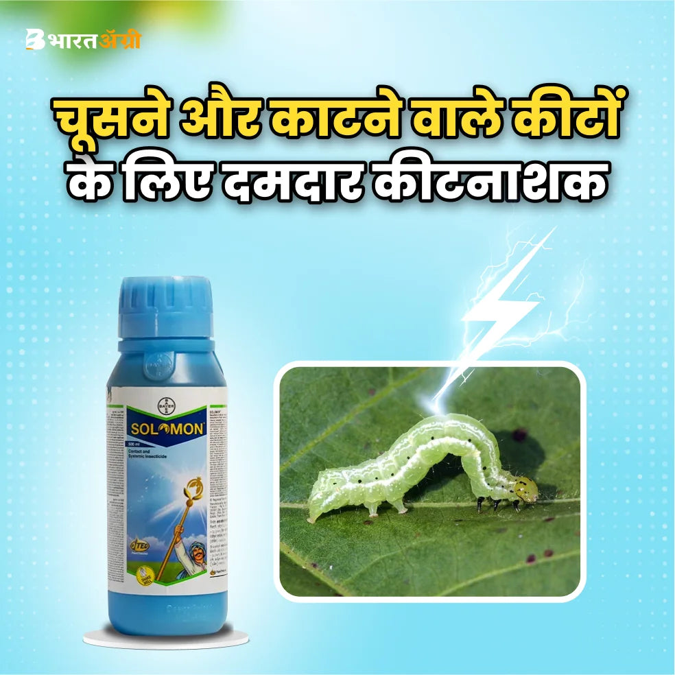 Bayer Solomon Insecticide 