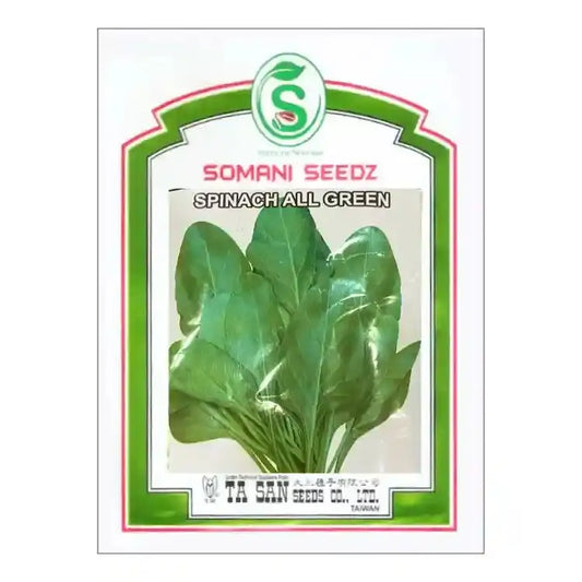 Somani All Green (Palak) Spinach Seeds