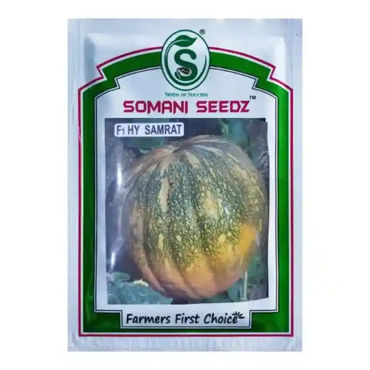 Somani F1 Samrat Pumpkin Seeds