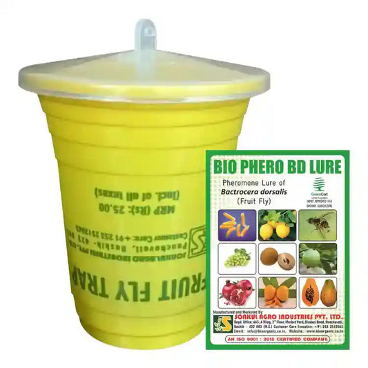 Sonkul Agro Bio Phero Bd Regular + New Upper Lid Glass Trap