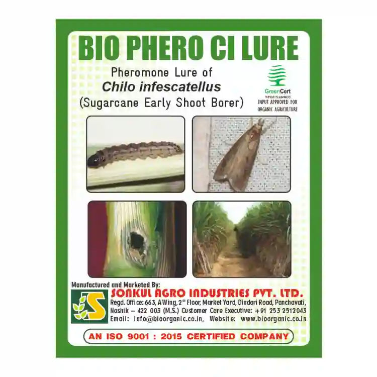 Sonkul Agro Bio Phero Ci (Chilo infescatellus) Lure