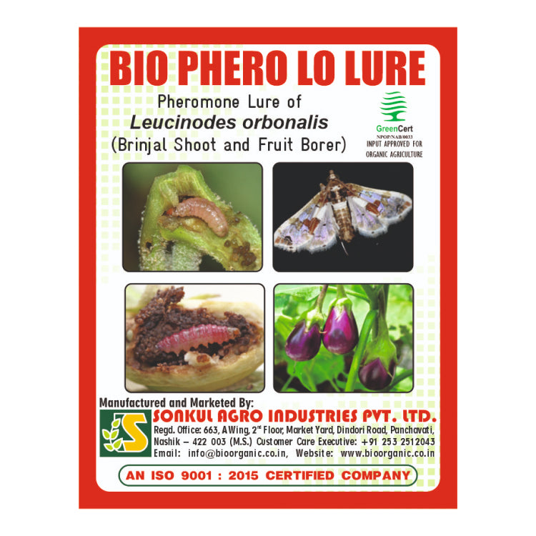 Sonkul Agro Bio Phero LO (Leucinodes orbonalis) Lure