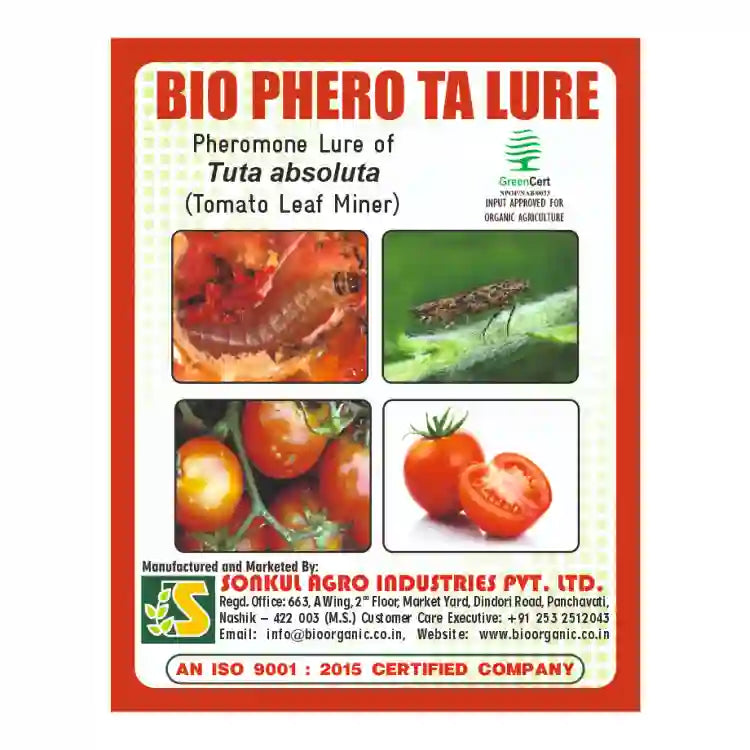 Sonkul Agro Bio Phero TA (Tuta absoluta) Lure