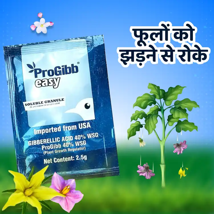 Progibb Easy Gibberellic Acid Plant Growth Promoter