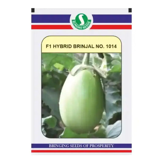 Sungro F1 Hybrid 1014 Brinjal Seeds