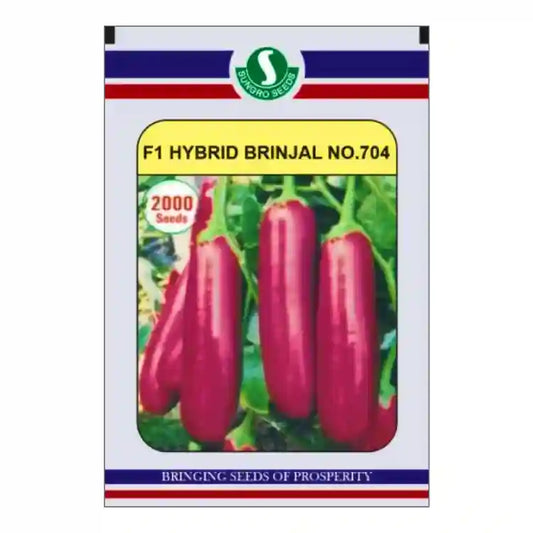 Sungro 704 F1 Hybrid Brinjal Seeds