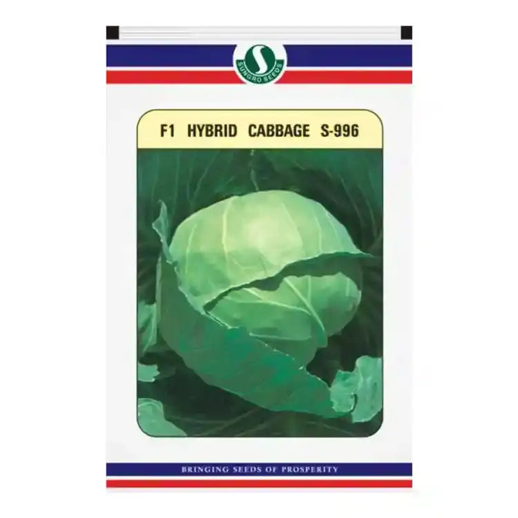 Sungro S-996 F1 Hybrid Cabbage Seeds