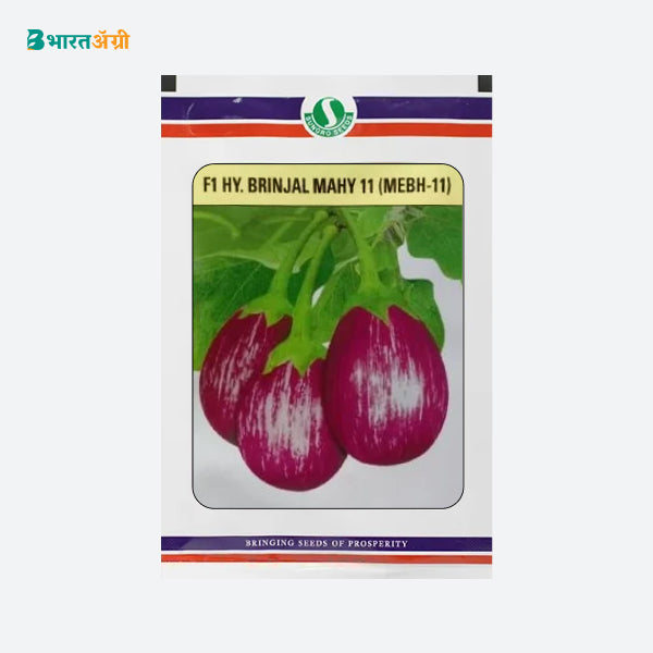 Sungro f1 Hybrid Brinjal Mahy 11 (MEBH-11) Seed - Krushidukan_1