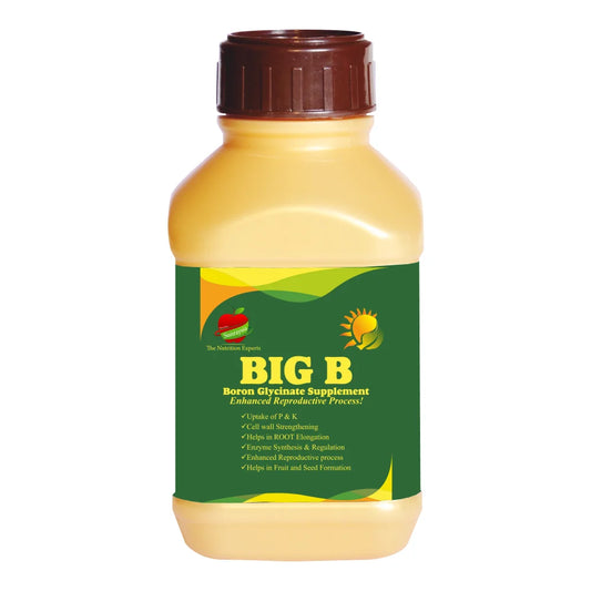 Sunraysia Big B (Boron 5%) Micronutrient