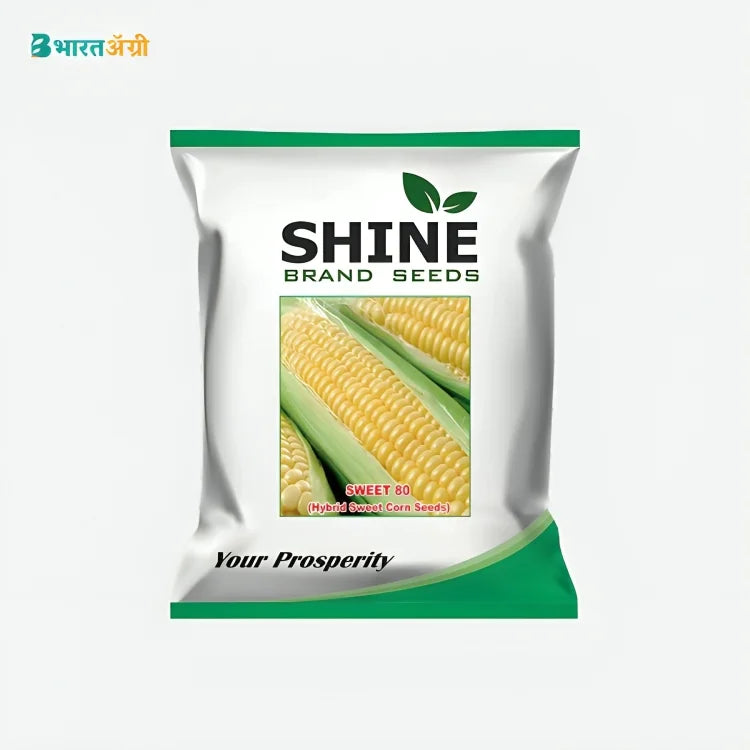 Shine Sweet 80 Sweet Corn Seeds (1+1 Free)