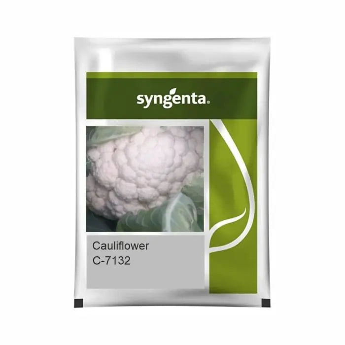 Syngenta C-7132 Cauliflower Seeds - BharatAgri Krushidukan_2