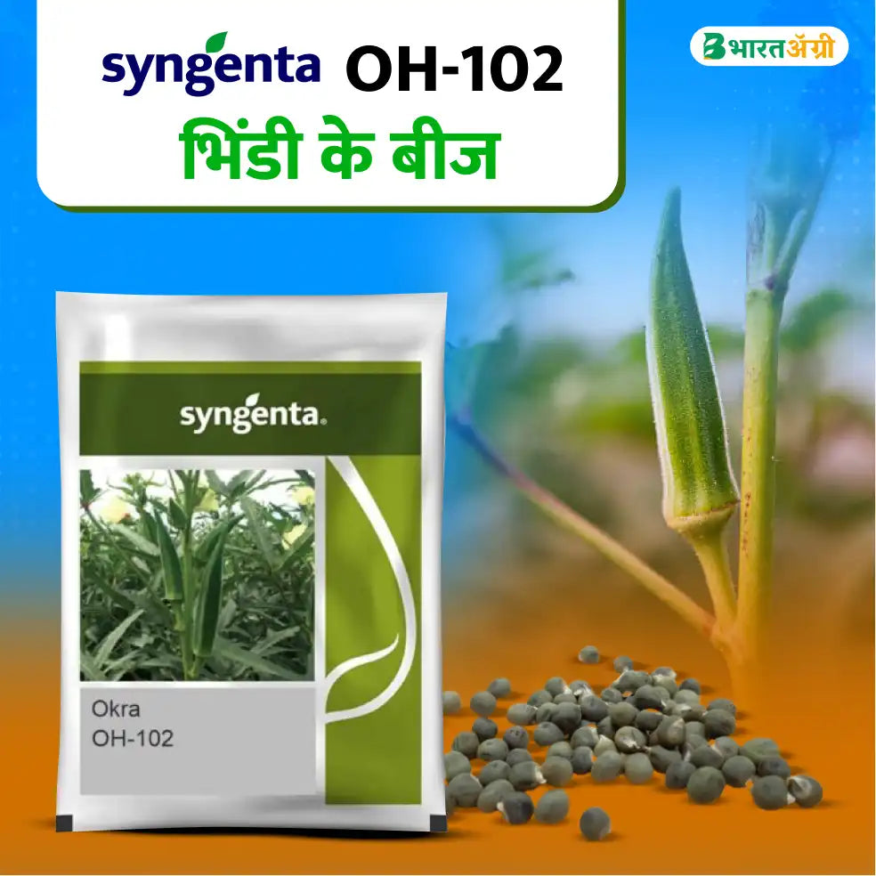 Syngenta OH-102 Okra Seeds
