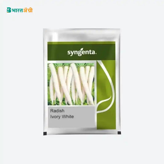 Syngenta Ivory White F1 Hybrid Radish Seeds