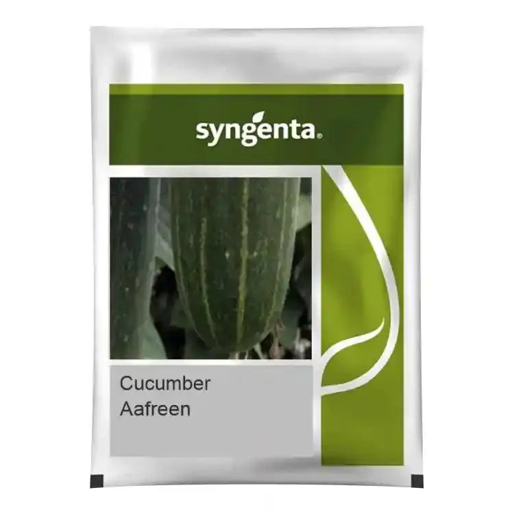 Syngenta Aafreen Cucumber Seeds