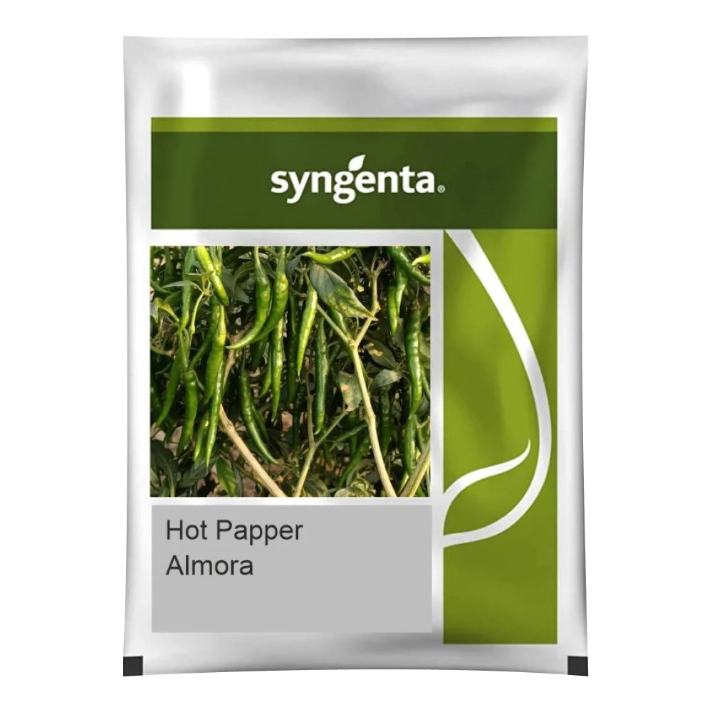 सिंजेंटा हॉट पेपर अल्मोरा मिर्च बीज | Syngenta Hot Pepper Almora Chilli Seeds