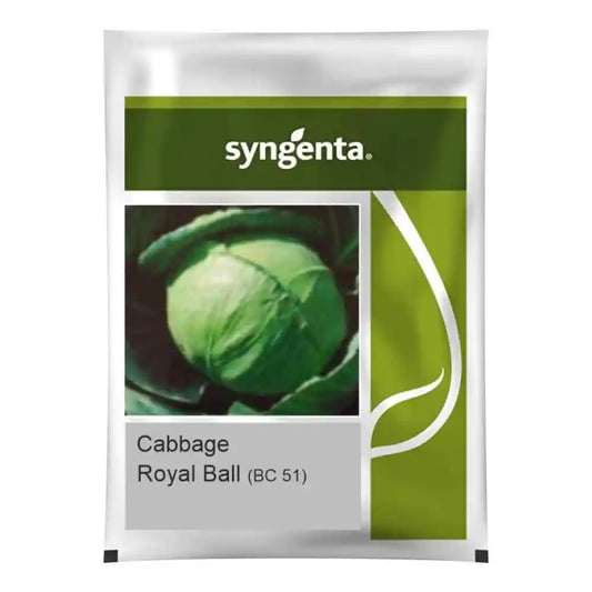 Syngenta Royal Ball (Bc-51) Cabbage Seeds