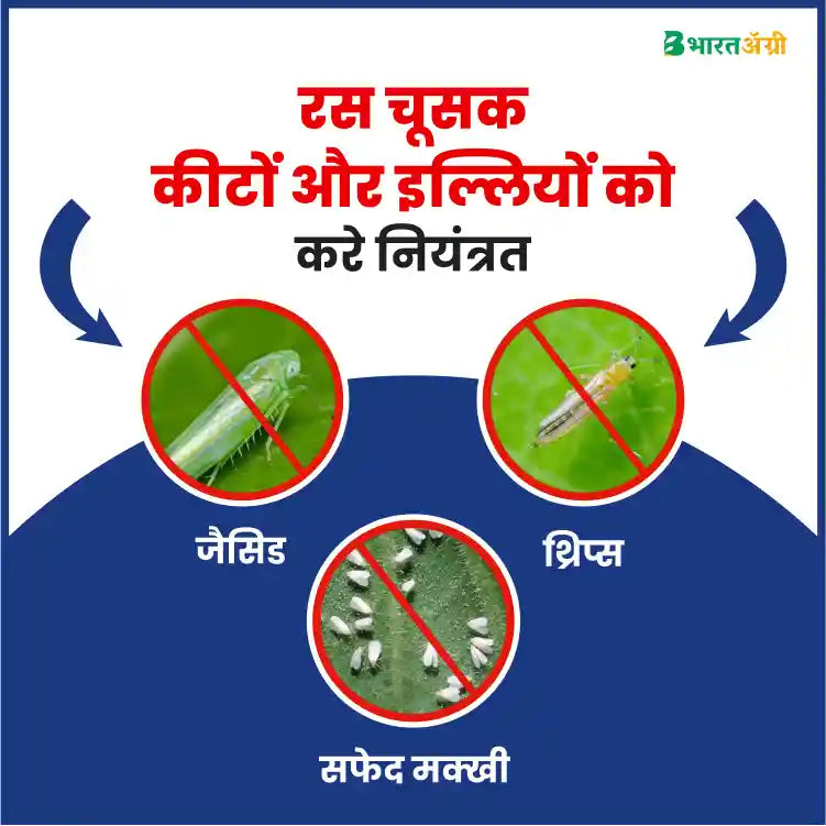 सिमोडिस सिंजेंटा (आइसोसायक्लोसेरम 9.2% w/w + आइसोसायक्लोसेरम 10% w/v) कीटनाशक