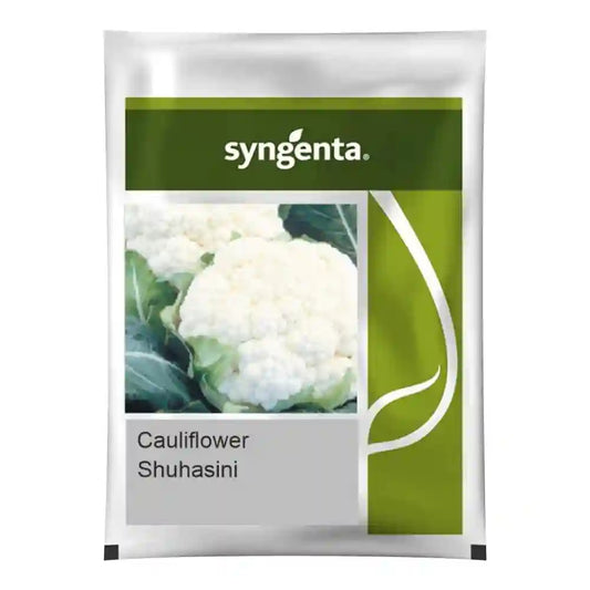 Syngenta Suhasini Cauliflower Seeds