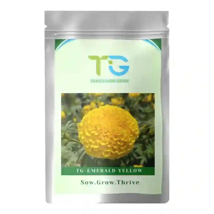 TG-Emerald Yellow Marigold Seeds