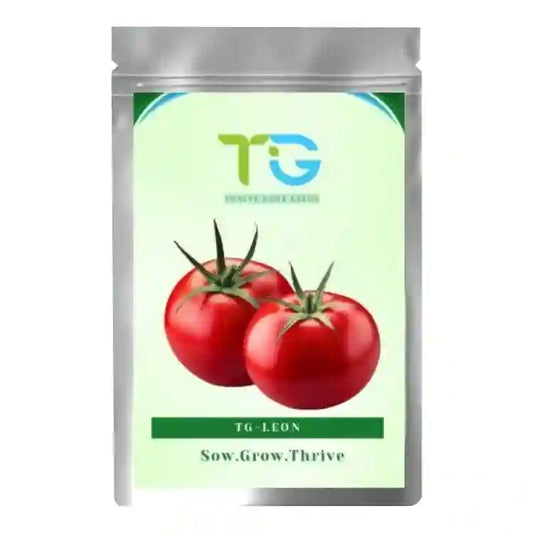 TG-Leon F1 Hybrid Tomato Seeds