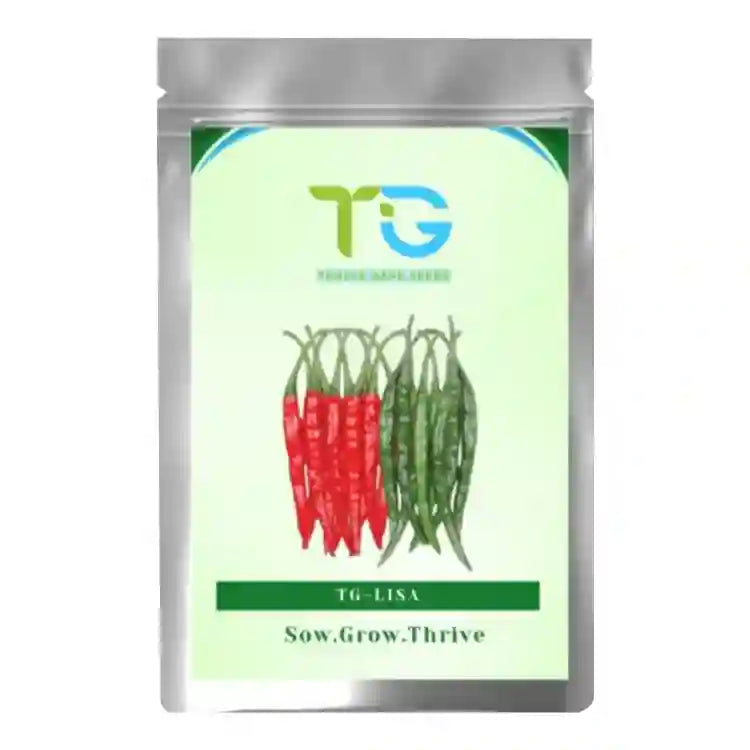 TG-Lisa Hybrid Chilli Seeds