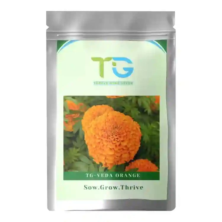 TG-Veda Orange Marigold Seeds