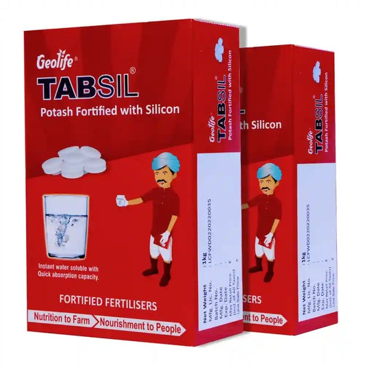 GeoLife Tabsil  Effervescent Orthosilicic Acid Tablets (1+1 Free)
