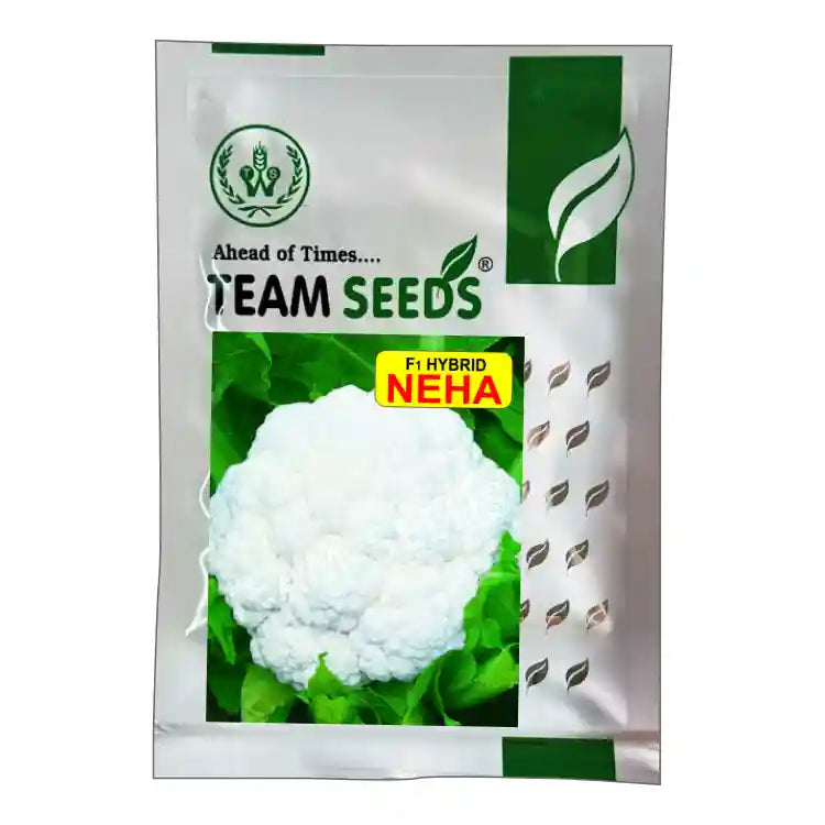 Team Seed F1 Hybrid Neha Cauliflower Seeds