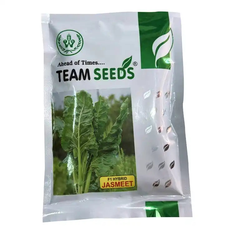 Team F1 Hybrid Jasmeet Spinach Seeds