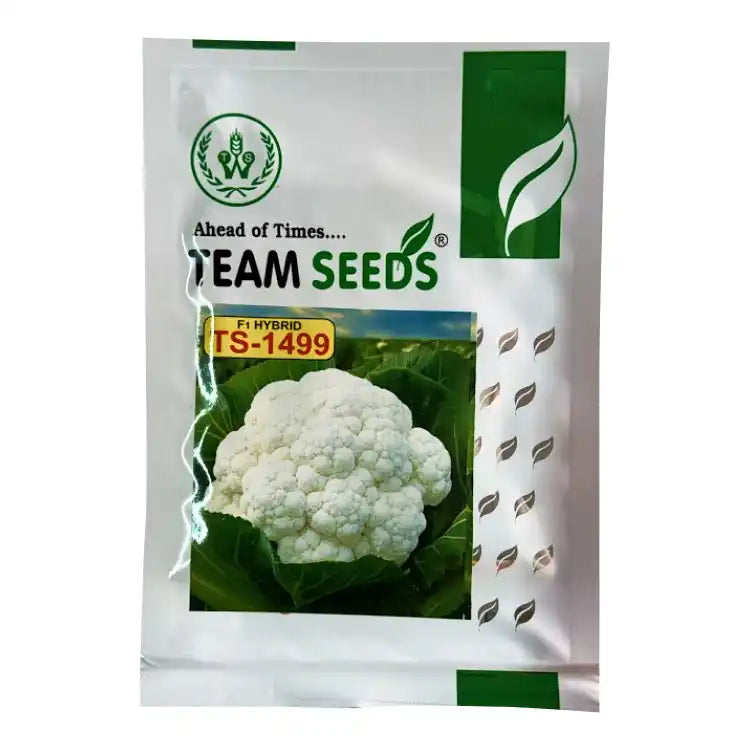 Team F1 Hybrid TS-1499 Cauliflower Seeds