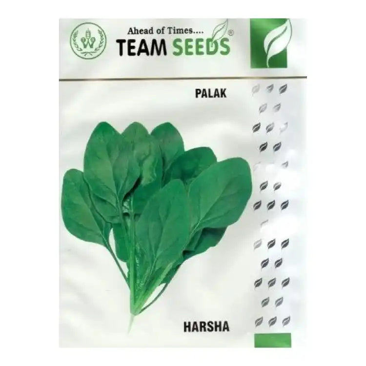 Team Harsha Spinach (Palak) Seeds